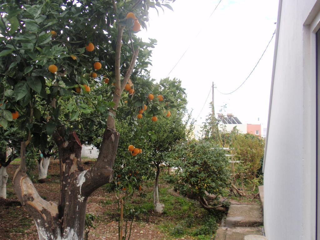 Antouan Matina Leilighet Archangelos (Rhodes)
