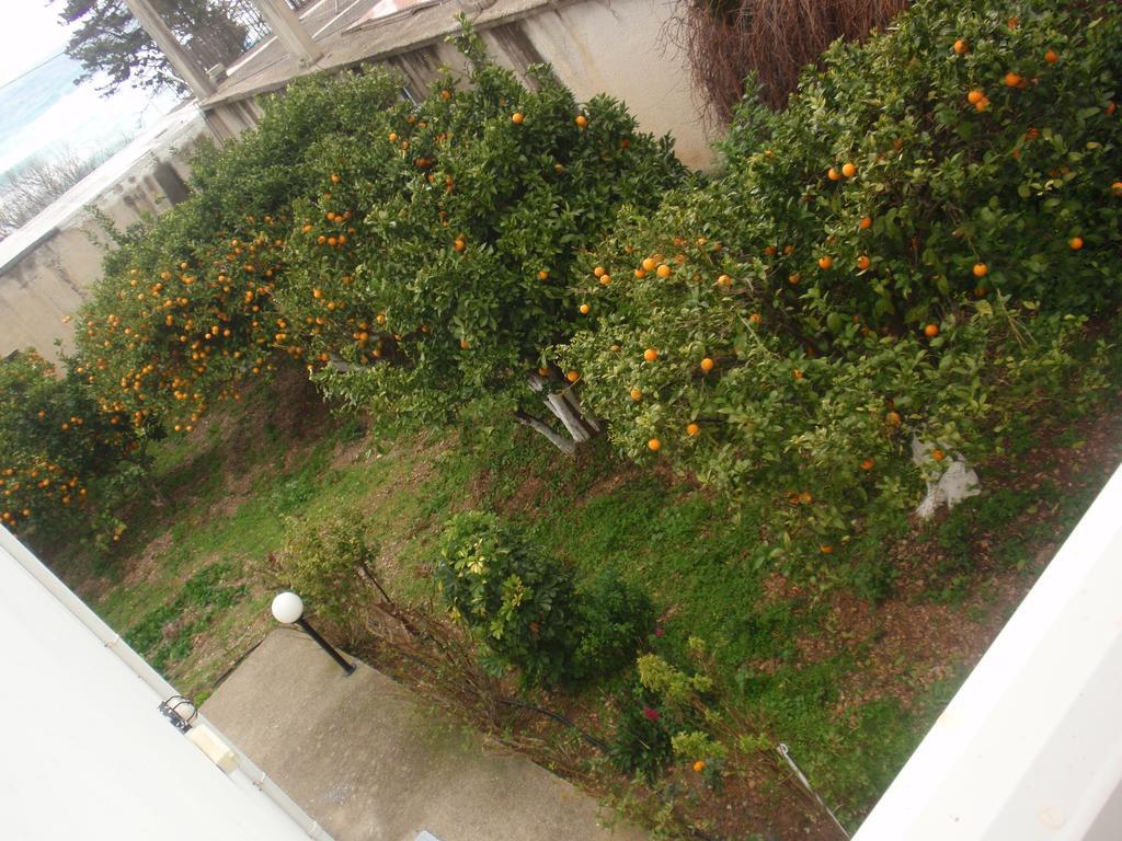 Apartmán Antouan Matina *