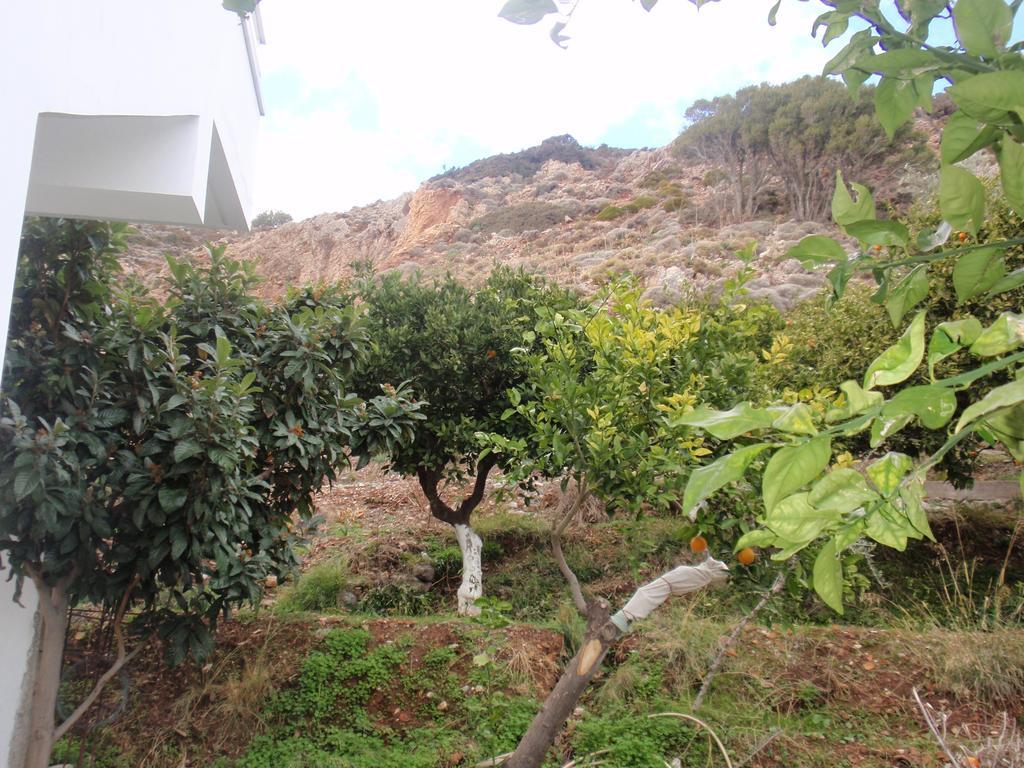 Apartmán Antouan Matina Archangelos (Rhodes)
