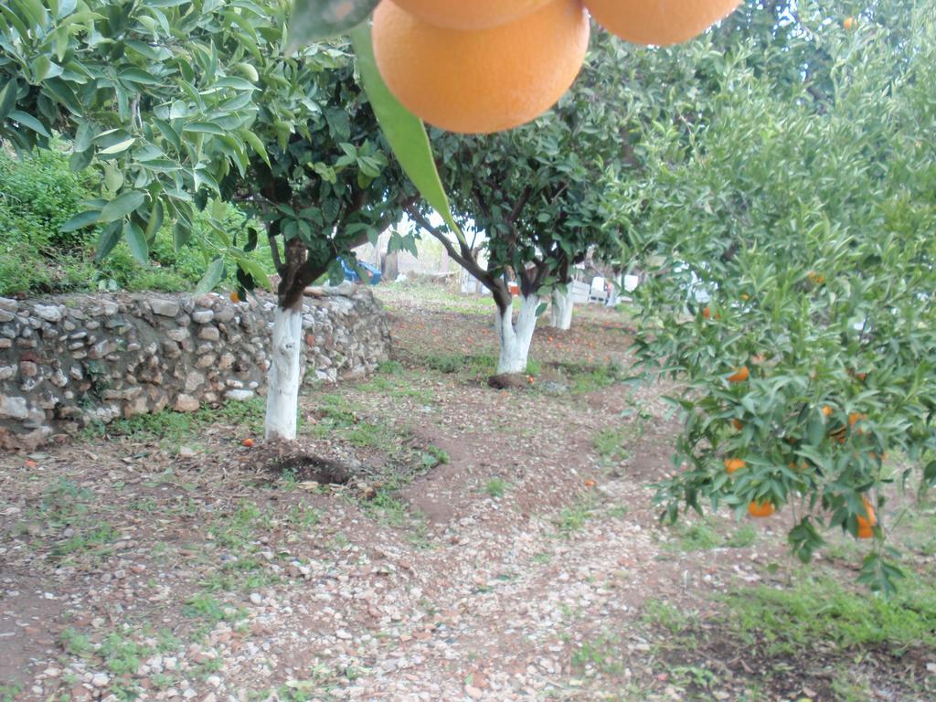 Antouan Matina Apartmán