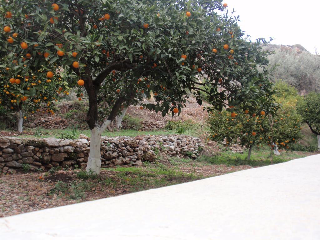 Antouan Matina Apartmán